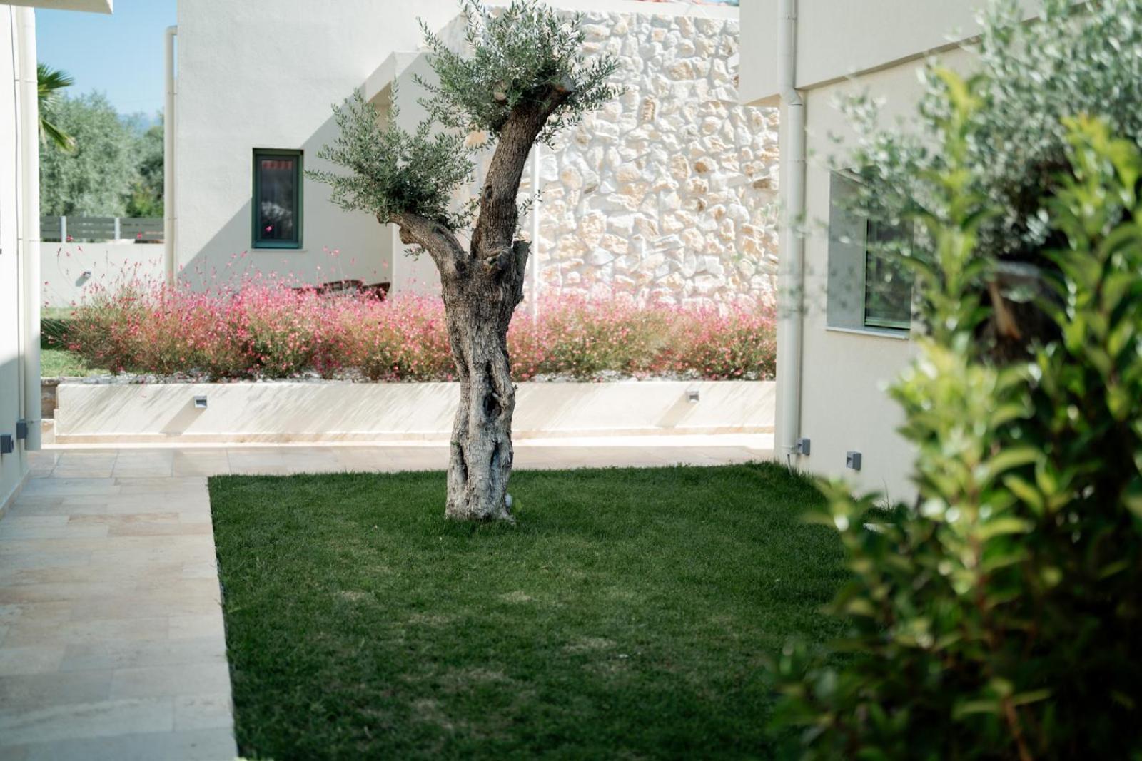 Magnolia Villas Potos Thassos 외부 사진